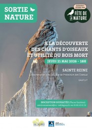 � la d�couverte des chants d'oiseaux et utilit� du bois mort