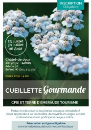Sortie nature : Cueillette gourmande