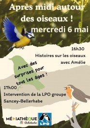 Animation autour des oiseaux