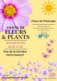 Vente de fleurs & plants