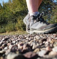 Marche gourmande bio