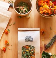 Atelier - Infusions Gastronomiques