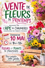 Vente de fleurs de printemps