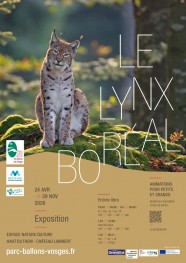 Modelage et c�ramique autour du Lynx