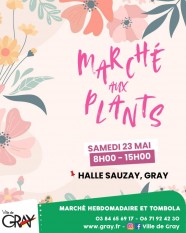 March� aux plants