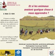 Atelier philosophique : ce que les animaux nous apprennent