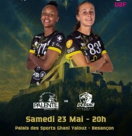 Handball F�minin : Palente Besan�on Handball / Pessac
