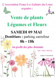 Vente de plants - L�gumes et fleurs