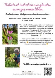 Balade et initiation aux plantes sauvages comestibles