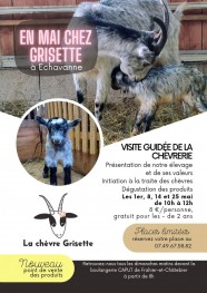 Visites guid�es � la ch�vrerie 