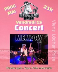 Memory Duo