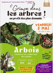 Grimpe dans les arbres !
