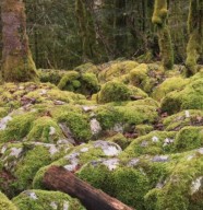 Sortie nature : sentier karstique