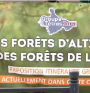 Les for�ts d'altitude, des for�ts de liens