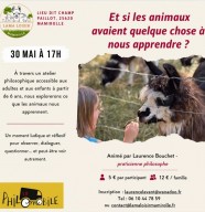 Atelier philo autour des animaux