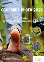 Concours photo : Par�idolie ou l'art de voir des visages dans la nature