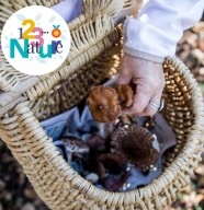 Sortie champignons