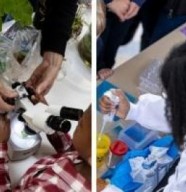 F�TE DE LA SCIENCE