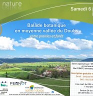 Sortie nature : Balade botanique