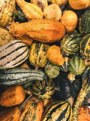F�te de la courge & des saveurs d'automne