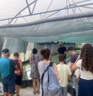 Visite d'une ferme � spiruline