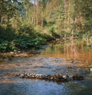 Observation de la biodiversit�