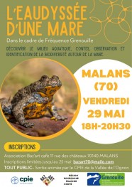 L'EAUDYSS�E D'UNE MARE