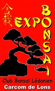 Exposition bisannuelle de bonsa�s