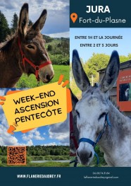 Balade avec les �nes