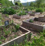 Rendez-vous au jardin