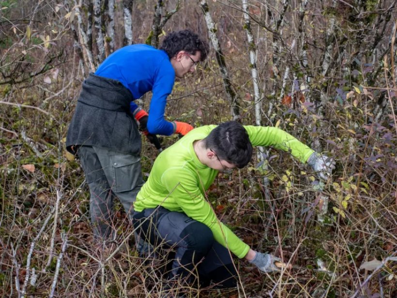 chantier d'entretien de la pelouse sèche