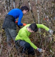 chantier d'entretien de la pelouse s�che