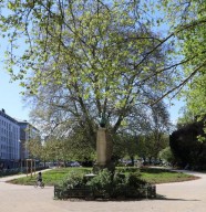 Visite : De square en jardin