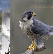 Conf�rence : le Faucon P�lerin