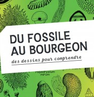 Du fossile au bourgeon, des dessins pour comprendre