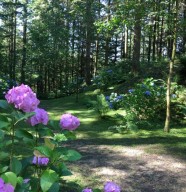 Rendez-vous au jardin
