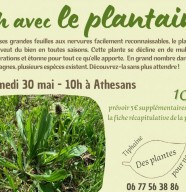 Atelier plantes m�dicinales