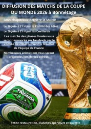 Diffusion des matchs de la coupe du monde