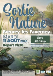 Sortie Nature : La vie des �tangs