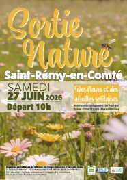 Sortie Nature : Des fleurs et des abeilles solitaires