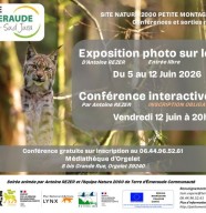 Conf�rence interactive sur le lynx