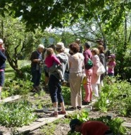 D�couverte des plantes m�dicinales