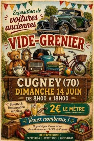 Vide Grenier