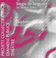 Projets collectifs dirig�s � th��tre #1