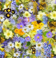 Atelier botanique