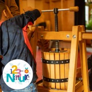 Fabrication et d�gustation de jus de pommes