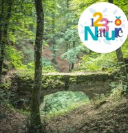 Stage photo En for�t