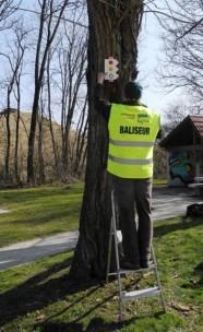 Tout savoir sur le balisage