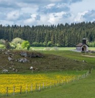 S'�merveiller de nos capacit�s d'orienteur