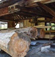 Visite : Scierie Demouge